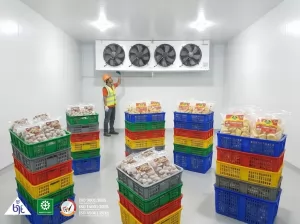 Kesalahan Umum dalam Penyimpanan Produk Makanan dan Cara Menghindarinya